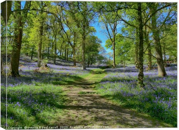 Inchcailloch bluebell woods in May                 Canvas Print by yvonne & paul carroll