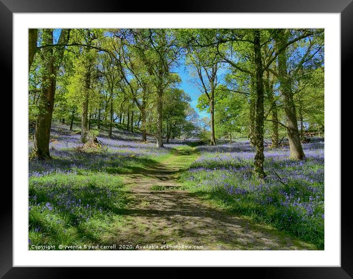 Inchcailloch bluebell woods in May                 Framed Mounted Print by yvonne & paul carroll