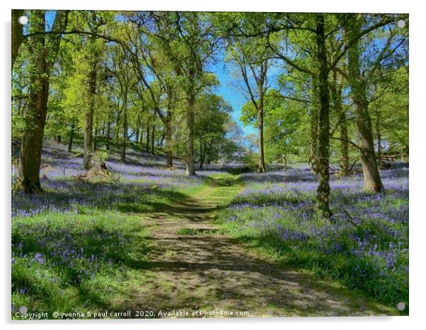 Inchcailloch bluebell woods in May                 Acrylic by yvonne & paul carroll
