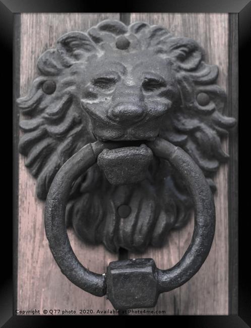 Door with brass knocker in the shape of a lion's h Framed Print by Q77 photo