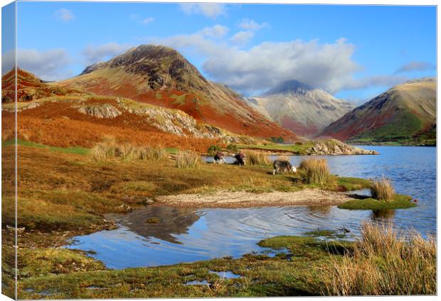 Wast Water, Cumbria Canvas Print by Donald Parsons