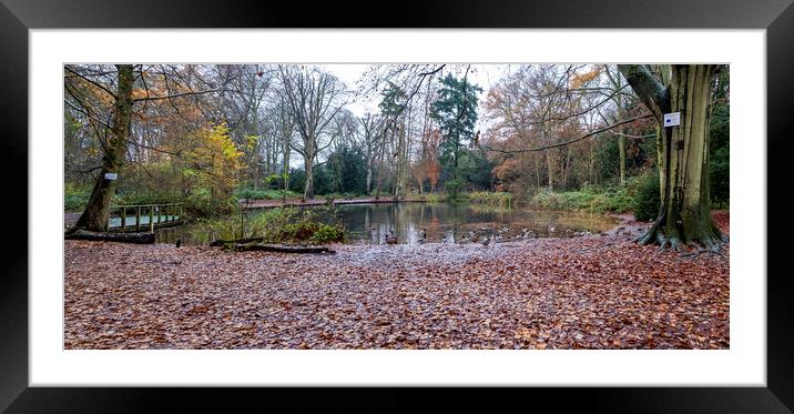 Apley Woods Framed Mounted Print by simon alun hark