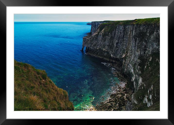 At Bempton Cliffs Framed Mounted Print by Steven Watson