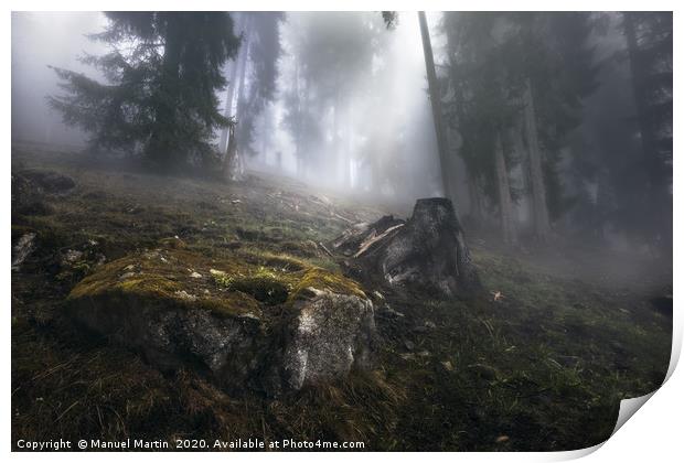 Foggy Forest in the Swiss Alps Print by Manuel Martin
