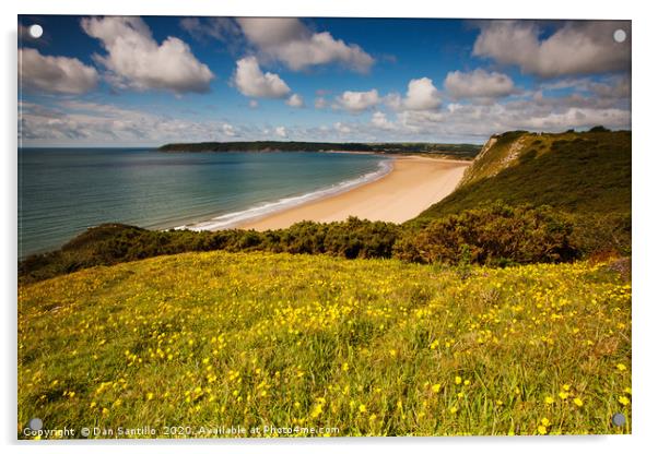 Oxwich Bay from Little Tor, Gower Acrylic by Dan Santillo