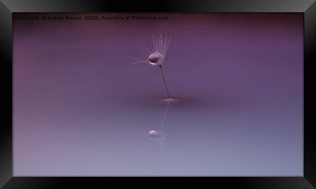 A dandelion seed centred Framed Print by andrew blakey