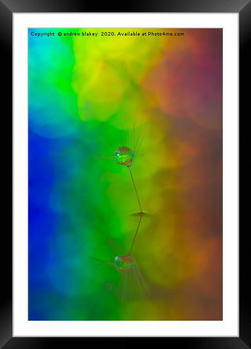 Reflecting the Beauty of a Dandelion Seed Framed Mounted Print by andrew blakey
