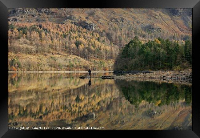 Thirlmere Reflections Framed Print by Jeanette Lea