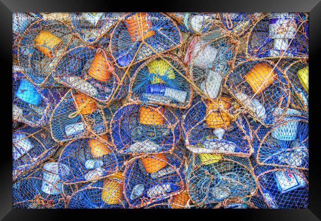 Colourful Quayside Lobster Pots. Framed Print by David Birchall