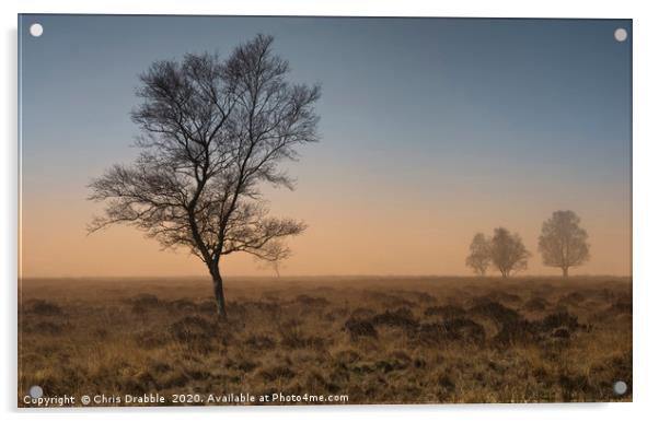 A misty Winter morning on Leash Fen (2) Acrylic by Chris Drabble