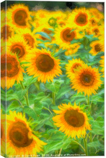 Sunflower Field Art Canvas Print by David Pyatt