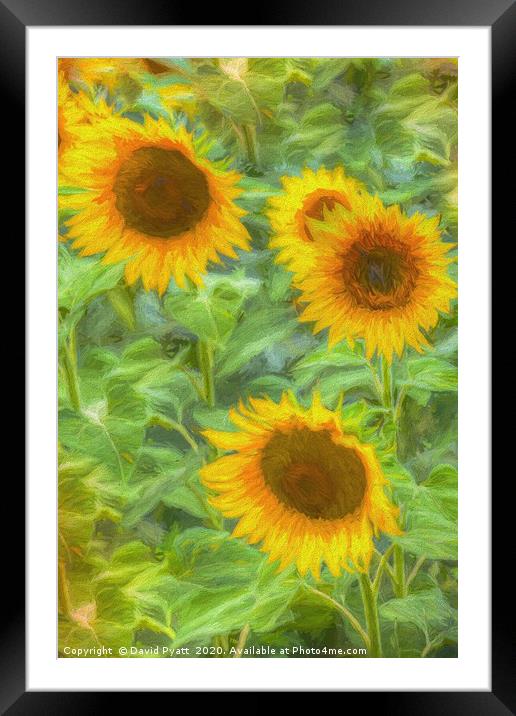 Sunflower Field Art Framed Mounted Print by David Pyatt