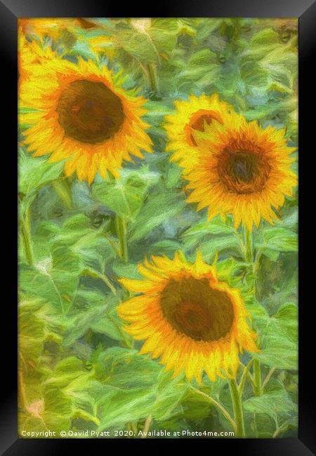 Sunflower Field Art Framed Print by David Pyatt