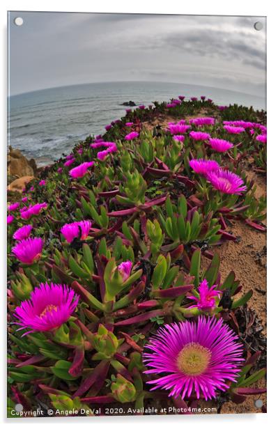 Wild Flowers on Algarve Cliffs Acrylic by Angelo DeVal