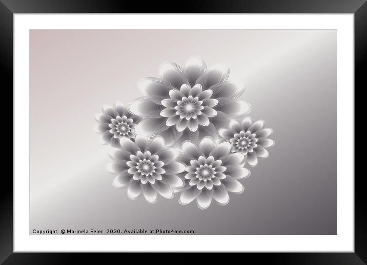 Silver petals bouquet Framed Mounted Print by Marinela Feier