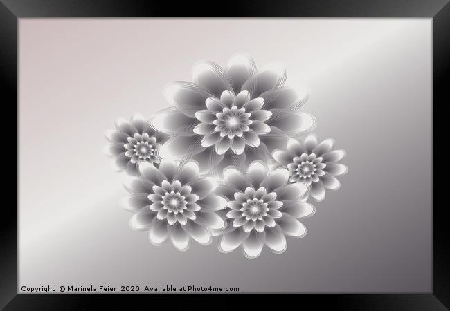 Silver petals bouquet Framed Print by Marinela Feier