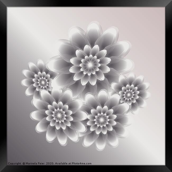 Silver bouquet Framed Print by Marinela Feier