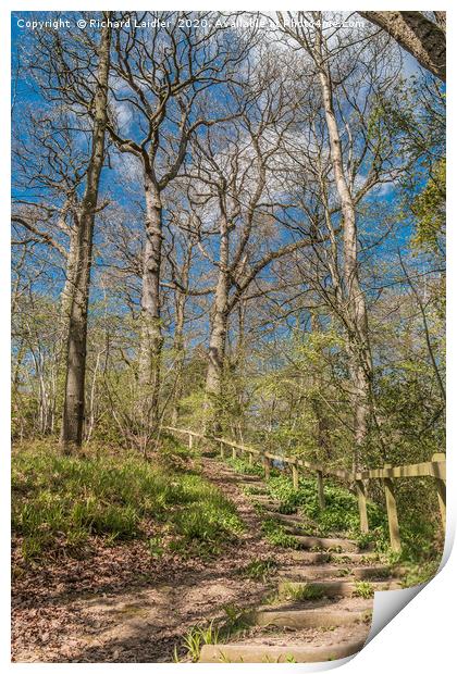 Woodland Steps Print by Richard Laidler