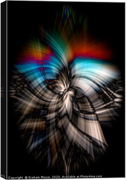 Abstract twirl from Lone Tree  Canvas Print by Graham Moore