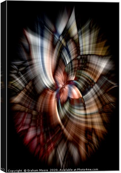 Abstract twirl effect from horse Canvas Print by Graham Moore