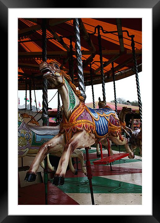 Carousel Framed Mounted Print by Doug McRae