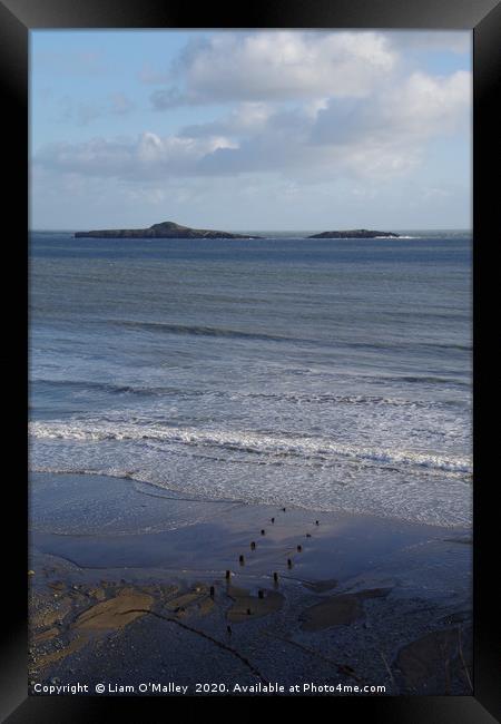 Aberdaron Posts run out to sea Framed Print by Liam Neon