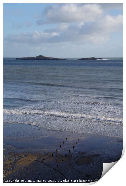 Aberdaron Posts run out to sea Print by Liam Neon