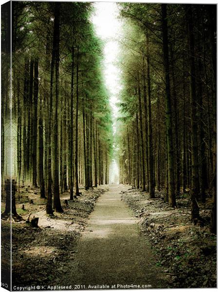 Haldon Forest, Through the Trees Canvas Print by K. Appleseed.