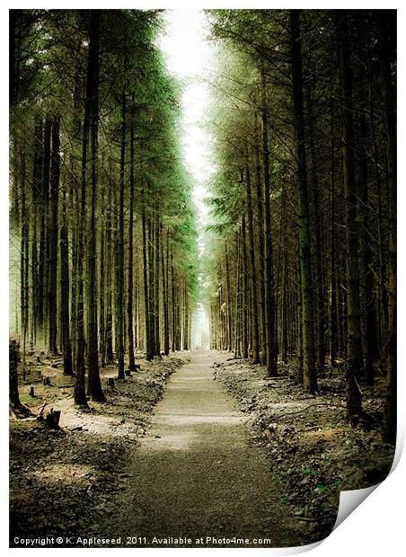 Haldon Forest, Through the Trees Print by K. Appleseed.