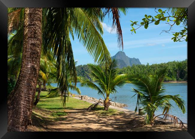 Tropical landscape Framed Print by Jordan Jelev