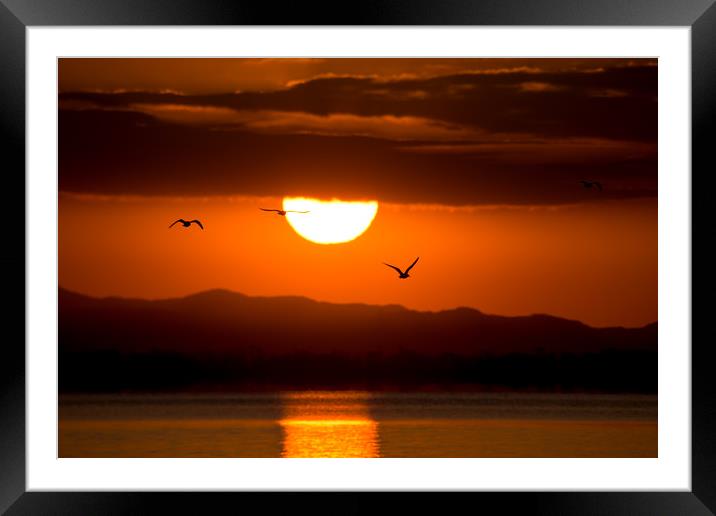 Sunrise with birds Framed Mounted Print by Jordan Jelev