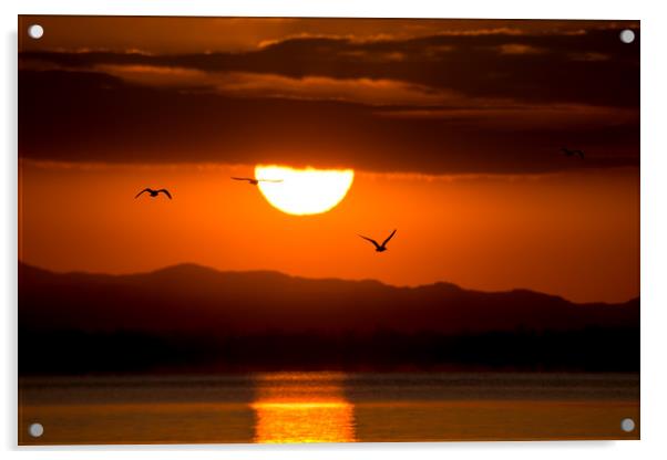 Sunrise with birds Acrylic by Jordan Jelev