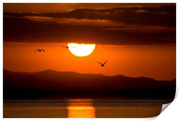 Sunrise with birds Print by Jordan Jelev