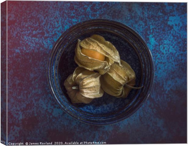 Physalis in a Bowl Canvas Print by James Rowland