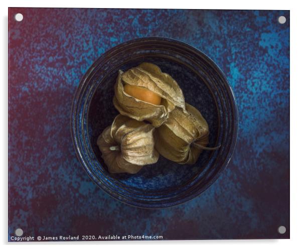 Physalis in a Bowl Acrylic by James Rowland