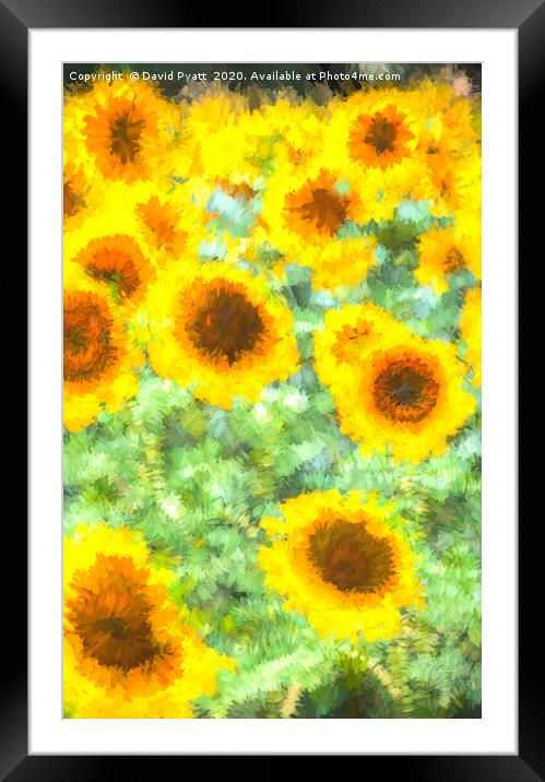 Painterly Sunflower Field Framed Mounted Print by David Pyatt