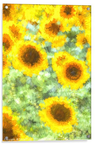 Painterly Sunflowers Acrylic by David Pyatt