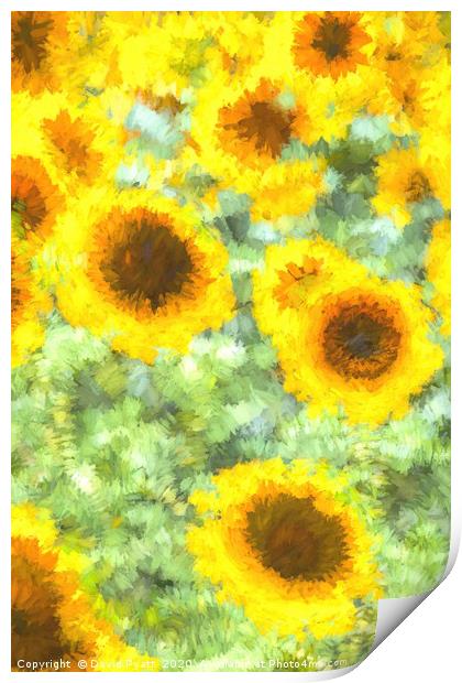 Painterly Sunflowers Print by David Pyatt