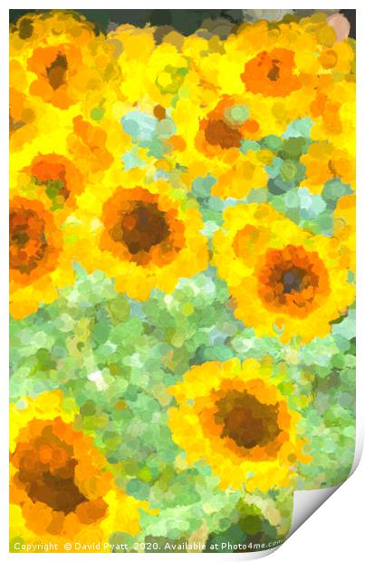 Sunflowers Monet Style Print by David Pyatt