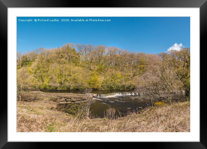 The River Tees at Whorlton in Spring Sunshine Framed Mounted Print by Richard Laidler