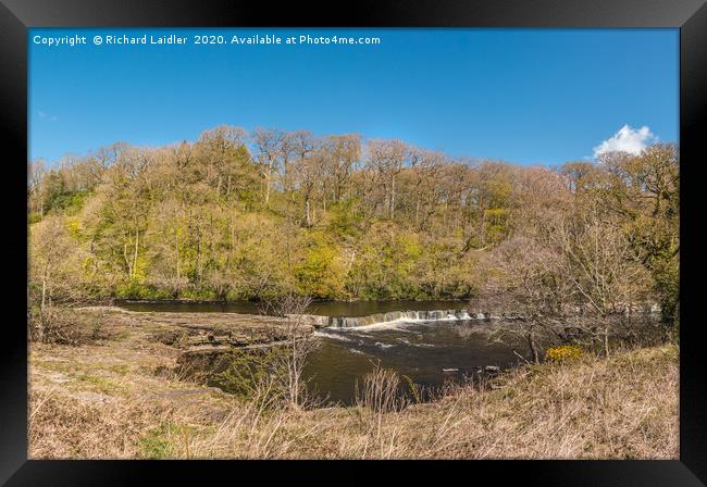 The River Tees at Whorlton in Spring Sunshine Framed Print by Richard Laidler