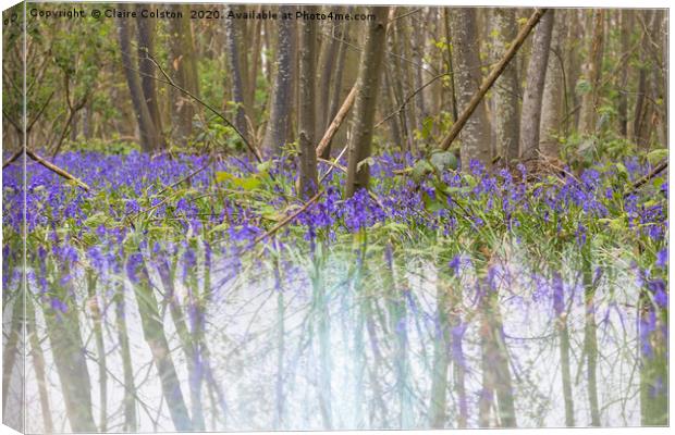 Bluebell Canvas Print by Claire Colston