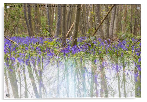Bluebell Acrylic by Claire Colston