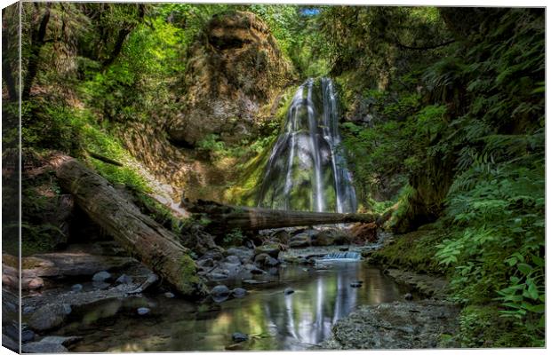 Spirit Falls with Reflections Canvas Print by Belinda Greb