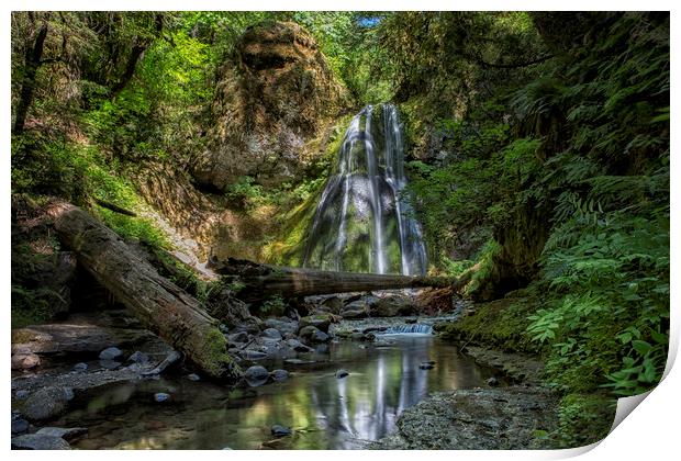 Spirit Falls with Reflections Print by Belinda Greb