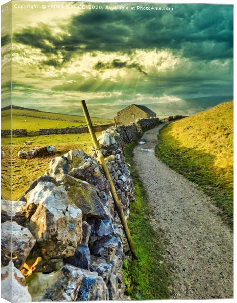 Walking in the Yorkshire Dales Canvas Print by EMMA DANCE PHOTOGRAPHY