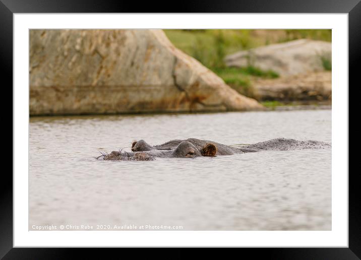 Hippopotamus in a small dam Framed Mounted Print by Chris Rabe