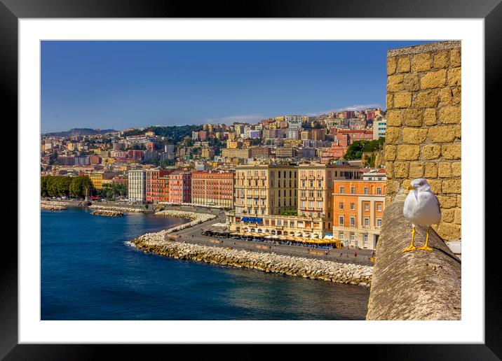 Summer day in Naples. View from Ovo Castle. Framed Mounted Print by Dragomir Nikolov
