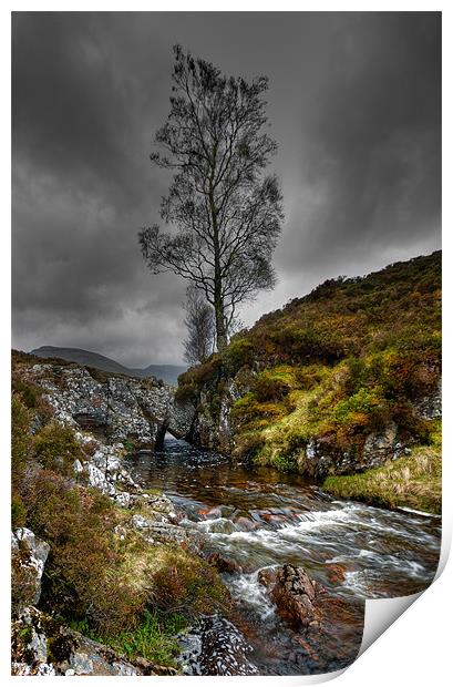 Lonely Tree Print by Mark Robson