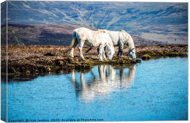 Two White Horses Mynydd Llangorse Brecon Beacons Canvas Print by Nick Jenkins